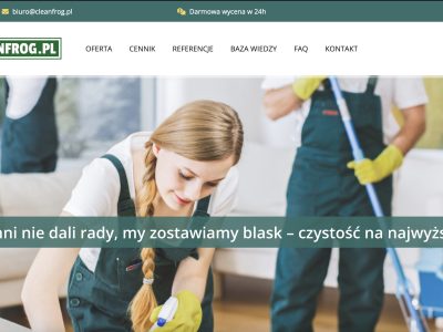 CleanFrog - czyszczenie parowe - Kraków, Katowice, Bytom, Tychy, Chorzów, Gliwice